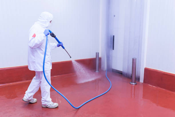 Best Pre-Holiday Cleaning  in Monahans, TX